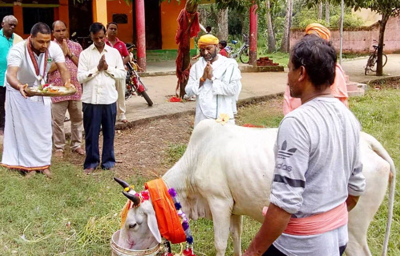 Protection of Indigenous cows and Organic farming